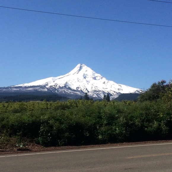 Meet your Posh-bro, Logan - Picture 3 of 9